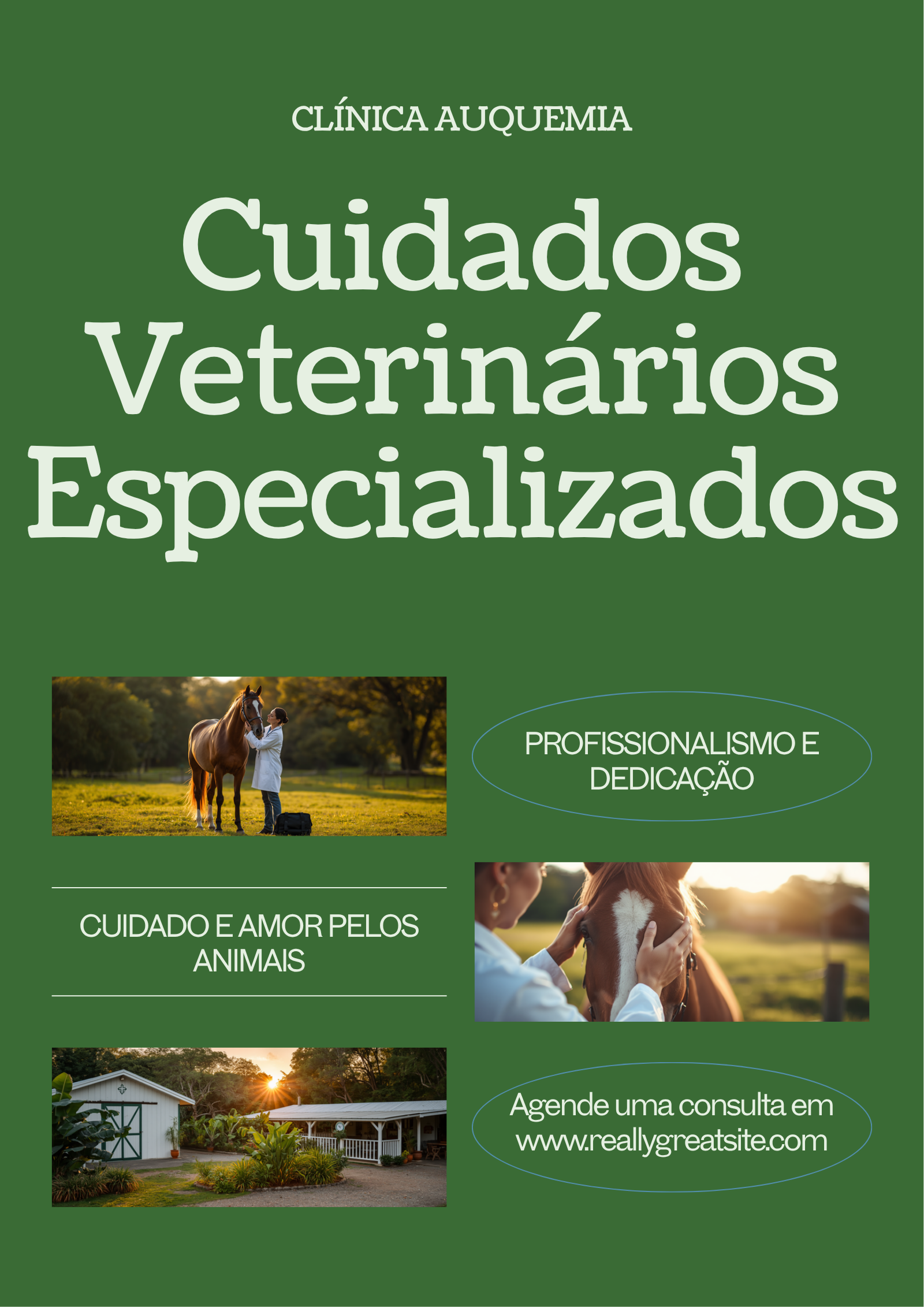 Consulta veterinária domiciliar para cavalos no Rio de Janeiro: como funciona