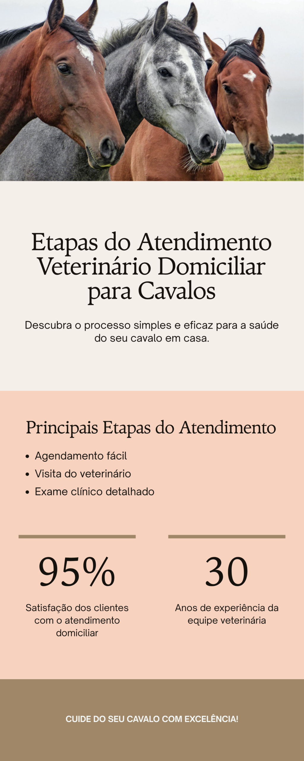 Consulta veterinária domiciliar para cavalos no Rio de Janeiro — detalhe relacionado ao tema do artigo