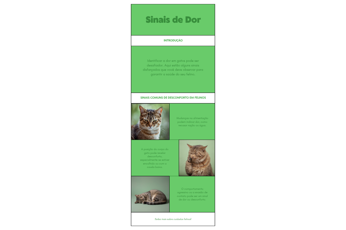 Gato escondido o dia todo — detalhe relacionado ao tema do artigo