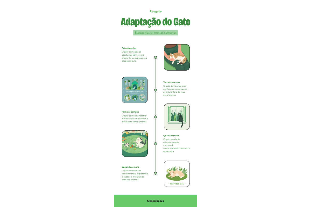 Gatos SRD (sem raça definida) resgatados — detalhe relacionado ao tema do artigo