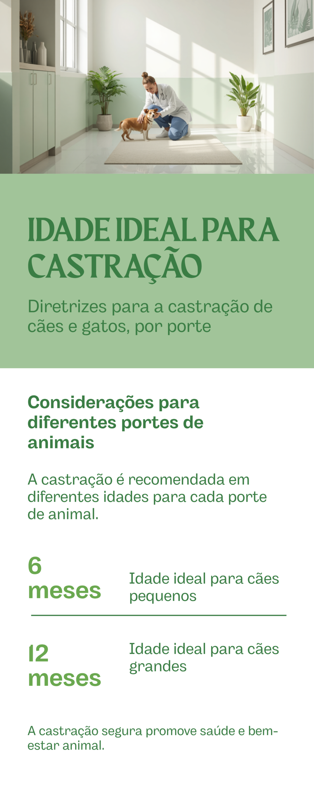 Idade ideal para castrar cães e gatos — detalhe relacionado ao tema do artigo