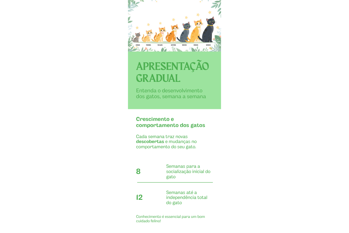 Introdução de um novo gato em casa sem gerar guerra territorial — detalhe relacionado ao tema do artigo