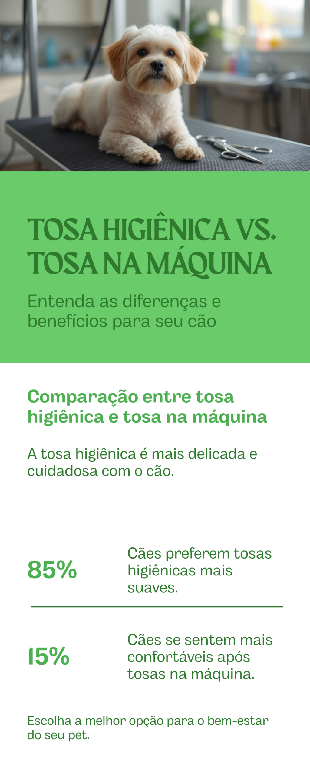 Tosa higiênica x tosa na máquina — detalhe relacionado ao tema do artigo